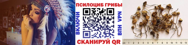 Галлюциногенные грибы ЛСД  ссылка на мегу онион  Находка 